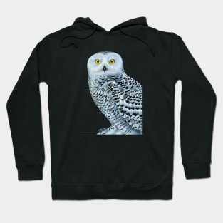 Snowy Owl Hoodie